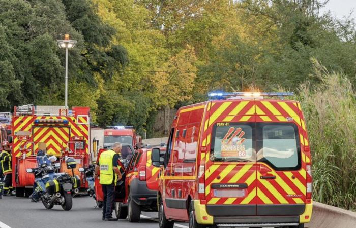 l'uomo muore schiacciato da un albero