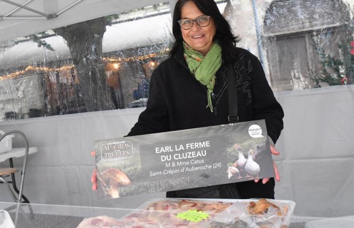 Dordogna: Place Saint-Louis a Périgueux, un villaggio di sapori con il mercato dell'erba