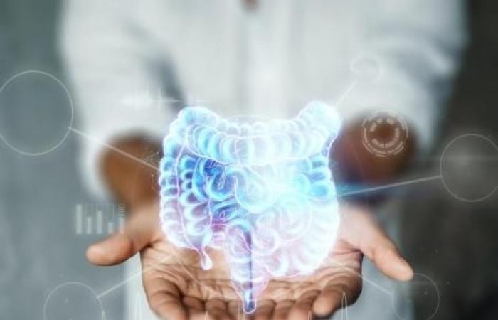 Potrebbe una molecola intestinale rallentare l’invecchiamento?