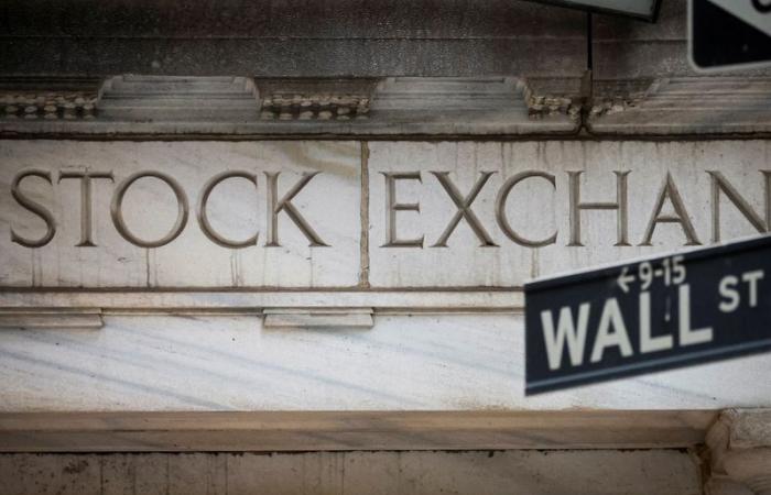 Mercati nel 2024: il rally selvaggio di Wall Street tiene prigionieri gli investitori statunitensi