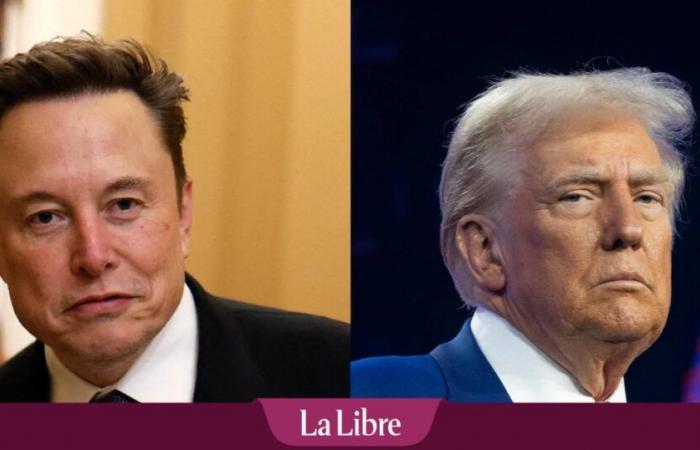 Prima tensione tra Donald Trump ed Elon Musk? “Non è nato in questo paese”