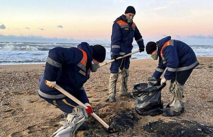 suoli inquinati da una fuoriuscita di petrolio