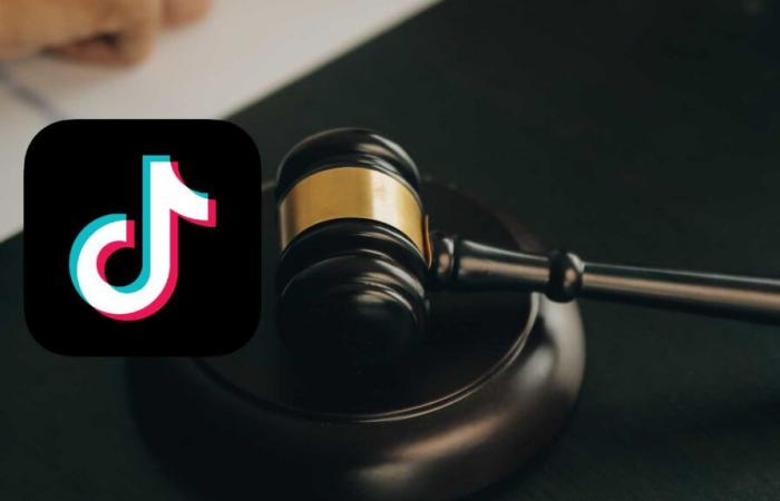 TikTok vietato in Europa? C’è chi ha già preso la decisione