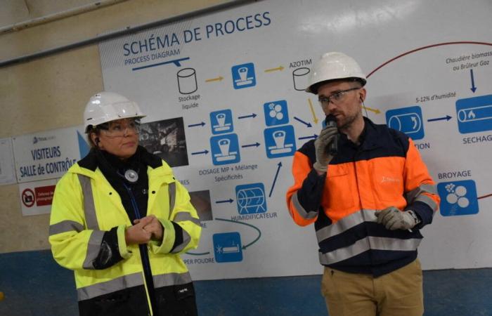 A Saint-Malo, Timac Agro punta sulle caldaie a biomassa per decarbonizzare la sua produzione