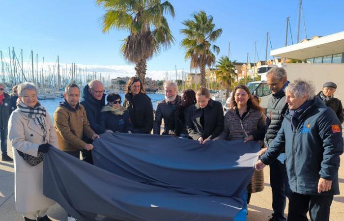 “È un libro degli ospiti senza tempo”: una 78a panchina Naelou installata nel porto di Gruissan