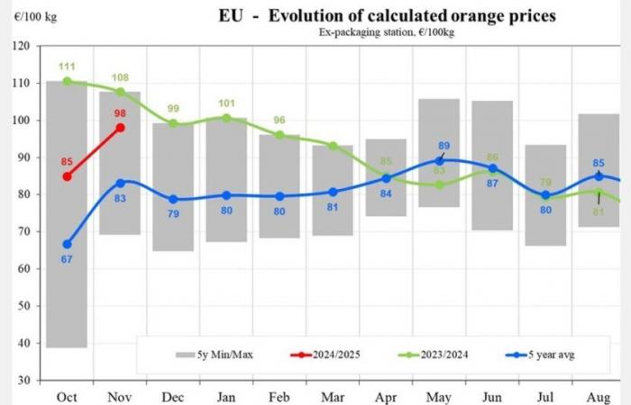 I prezzi delle arance oscillano, con un calo del 41% in Grecia e un aumento del 9% in Italia nel novembre 2024.