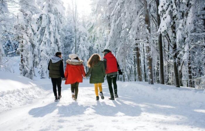 Quanto tempo bisogna aspettare prima di una passeggiata digestiva?