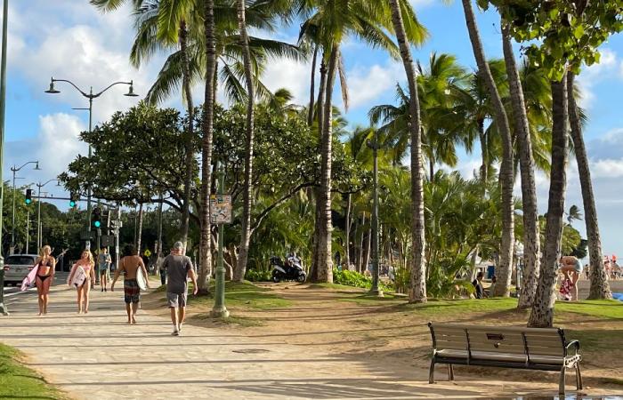 PAX a destinazione: Air Canada Vacations mette in evidenza l'isola di Oahu