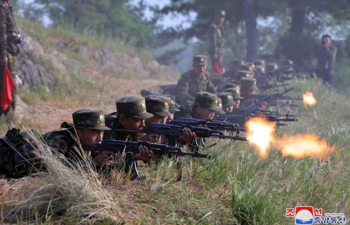 Ucraina: più di mille soldati nordcoreani uccisi o feriti