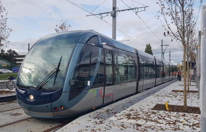 Trasporti, servizi pubblici, bidoni della spazzatura… Aggiornamento sugli orari del 24 e 25 dicembre a Bordeaux