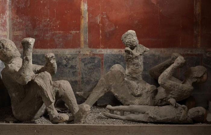 Le vittime di Pompei non sono quelle che pensavamo, rivela l'analisi del DNA