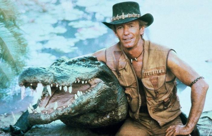 È morto all'età di oltre 90 anni il coccodrillo Burt, protagonista del celebre film “Crocodile Dundee”