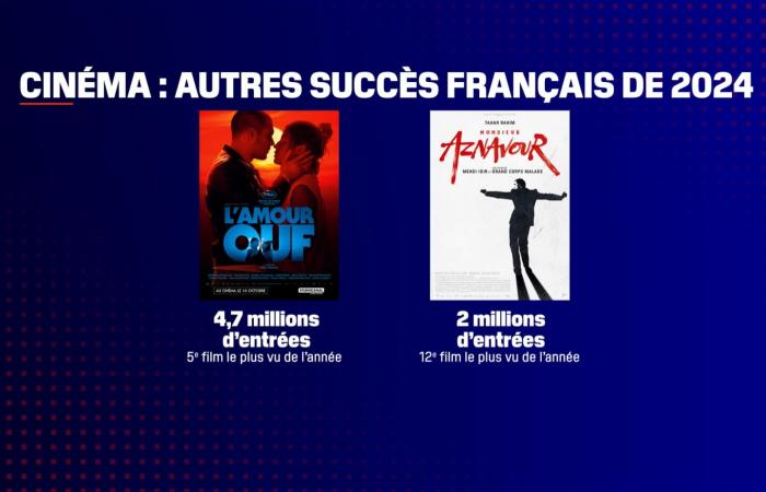 Per la prima volta dal 2014, il più grande successo cinematografico dell'anno è francese