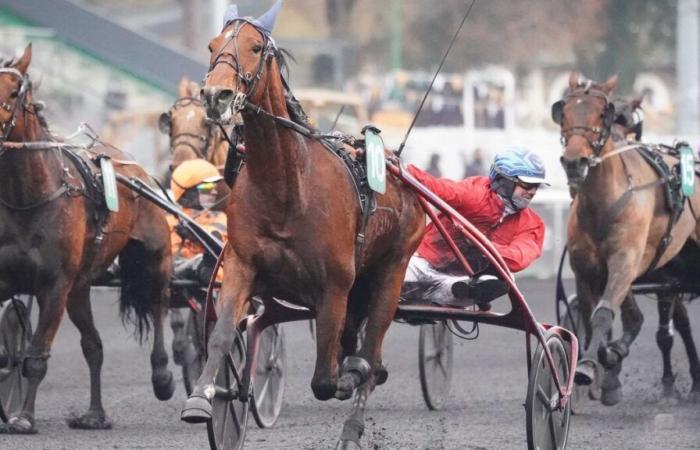 PMU – Arrivo del quinte martedì 24 dicembre a Parigi-Vincennes: Isofou du Chêne abbatte Cobra Killer Gar