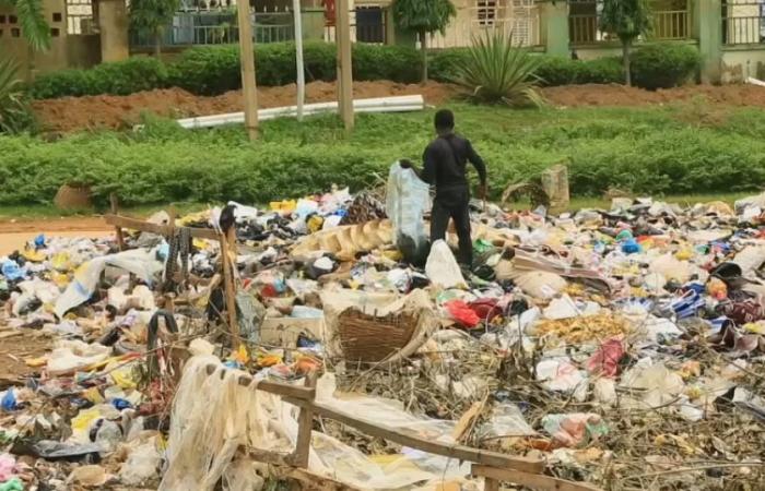 Nigeria: la febbre di Lassa uccide 190 persone nel 2024