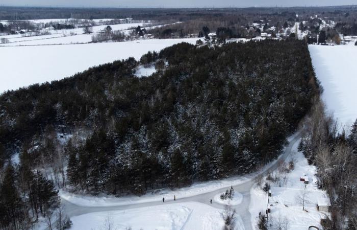 Cambiamenti climatici | I giorni adatti per il pattinaggio all'aperto si stanno sciogliendo