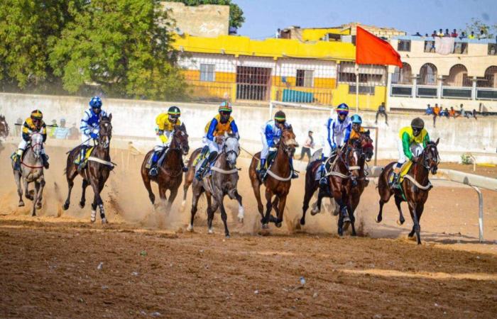 Thiès: inizio di successo della stagione equestre 2024-2025