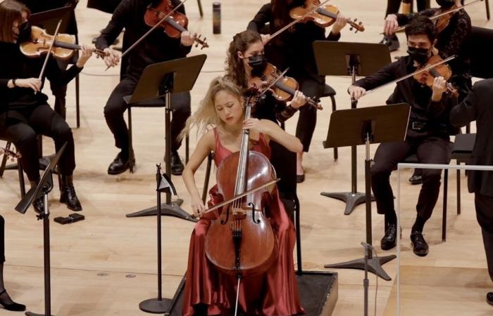 Marion Portelance | Il “violoncellista del re” traccia il suo percorso