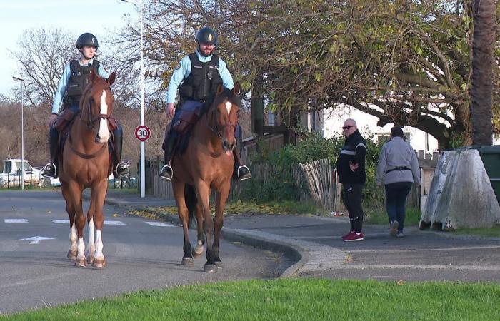 questi gendarmi seguono a cavallo gli incendi e le persone scomparse