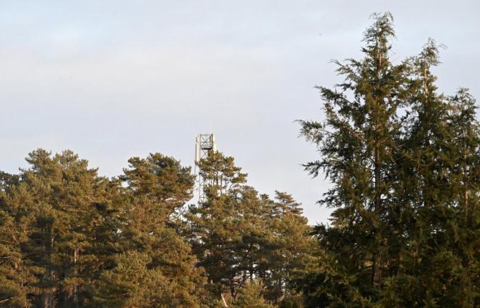 LE CREUSOT: Le Alpi in 5G… Sì, ma per chi? Ti diciamo tutto