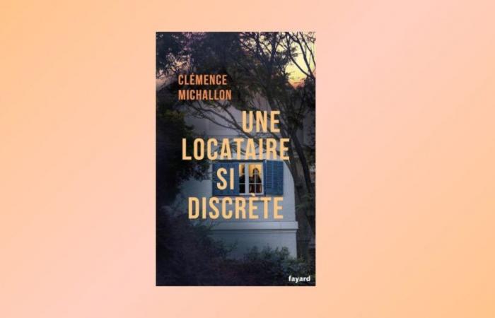 Se vi è piaciuto The Maid, dovete assolutamente leggere questo nuovo thriller, nominato tra i migliori dell'anno