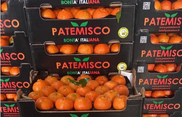 “I prezzi troppo alti rallentano il consumo di frutta”