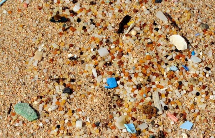 Gli scienziati coreani progettano droni rivoluzionari per tracciare le microplastiche nell’acqua!