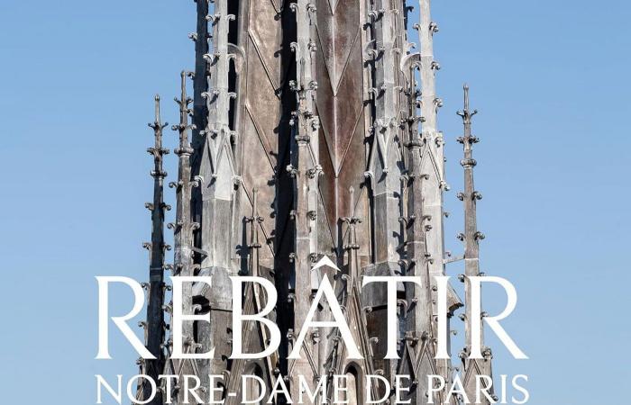 La ricostruzione di Notre-Dame de Paris, l'occhio dei fotografi nel cuore del cantiere