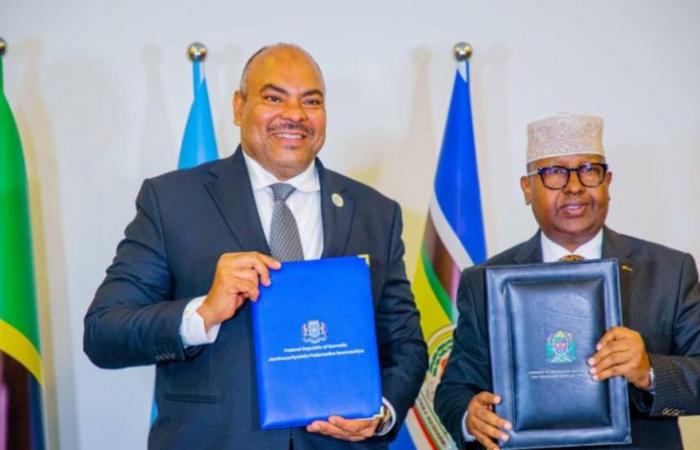 Somalia e Tanzania rafforzano la loro partnership