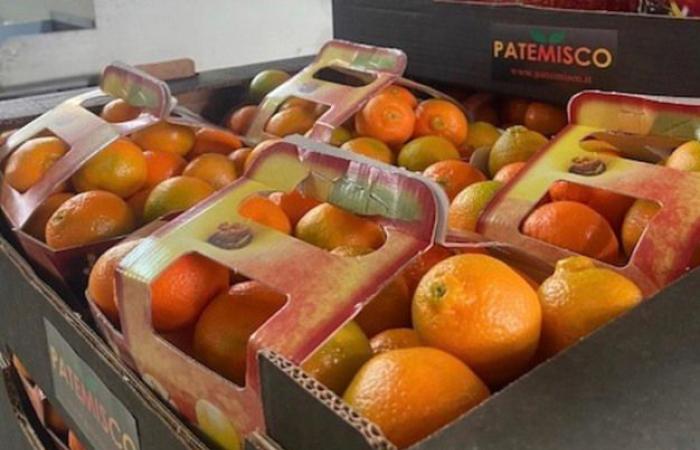 “I prezzi troppo alti rallentano il consumo di frutta”