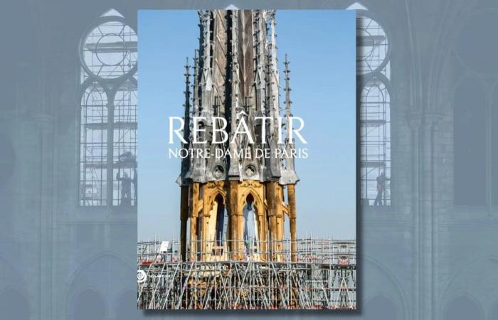 La ricostruzione di Notre-Dame de Paris, l'occhio dei fotografi nel cuore del cantiere