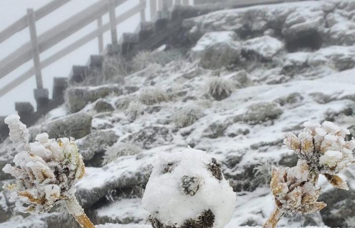 Bollettino meteorologico. La neve cadrà a Natale nel Massiccio Centrale? La risposta