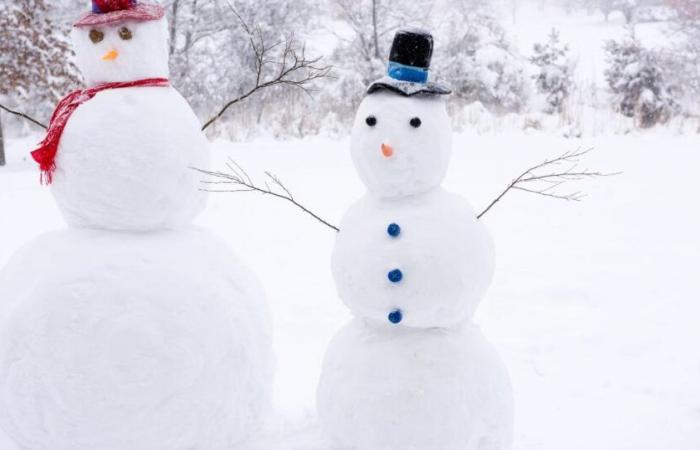 Nevicherà il giorno di Natale e cos'è un Bianco Natale?