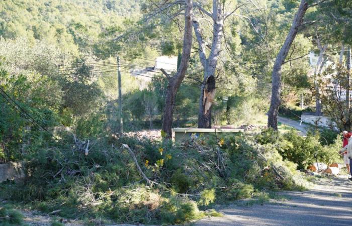 “Non c’è quartiere che non sia stato più o meno colpito”: Carqueiranne guarisce le sue ferite dopo le forti raffiche di vento