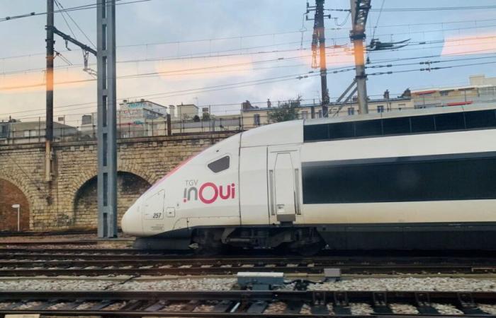 Passeggeri del TGV e dell'Ouigo rimasti a bordo tutta la sera dopo un “incidente personale” vicino a Parigi