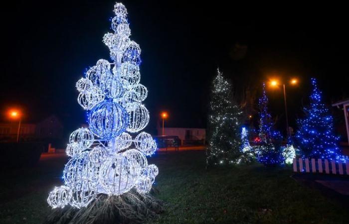 Luci, orsacchiotti… Le atmosfere festive dei comuni dell'agglomerato di Limoges in immagini