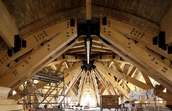 La ricostruzione di Notre-Dame de Paris, l'occhio dei fotografi nel cuore del cantiere