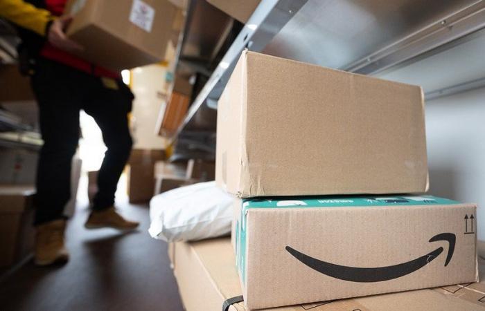 Il fattorino di Amazon “stressato” scarica 80 pacchi in una zona boscosa: polizia