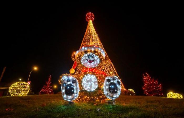 Luci, orsacchiotti… Le atmosfere festive dei comuni dell'agglomerato di Limoges in immagini