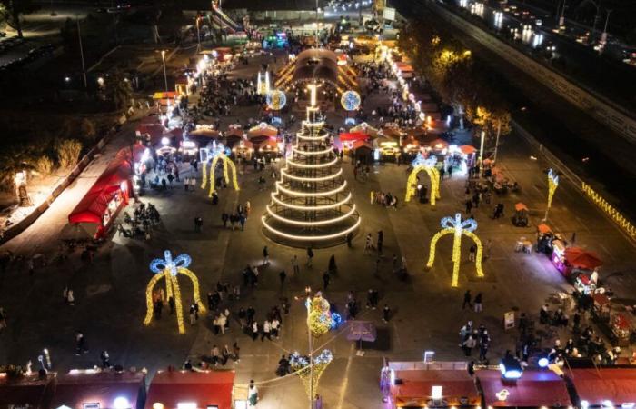 bruciato un albero di Natale, gli islamisti al potere promettono sanzioni