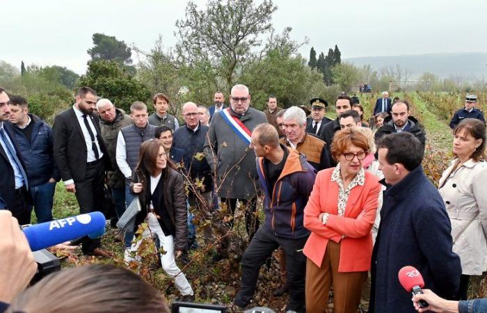 Governo Bayrou: cosa pensano gli agricoltori e i viticoltori dell'Aude della permanenza di Annie Genevard al Ministero dell'Agricoltura