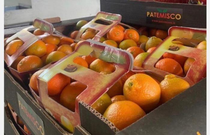 “I prezzi troppo alti rallentano il consumo di frutta”