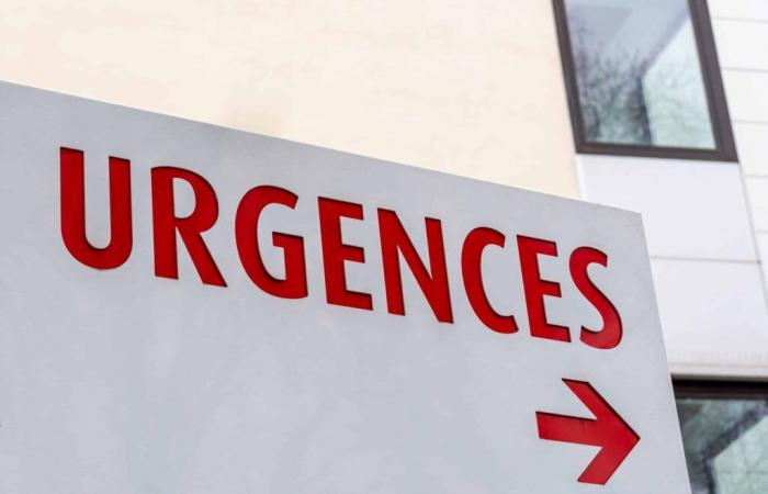 prima di recarsi al pronto soccorso, comporre il numero 15!- Le Journal Toulousain