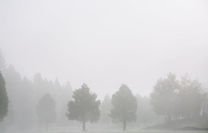 Bollettino meteorologico. Che tempo fa in Alta Francia questo mercoledì 25 dicembre?