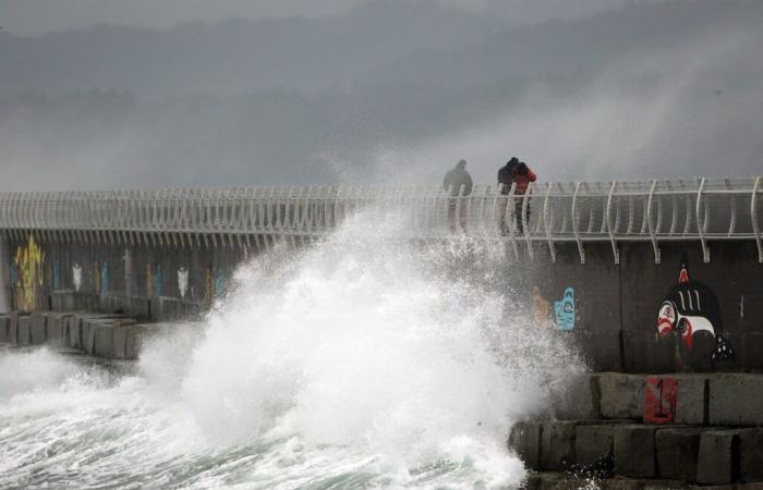 Si prevede che forti venti colpiranno la costa della British Columbia poiché il servizio di traghetti annulla le partenze principali