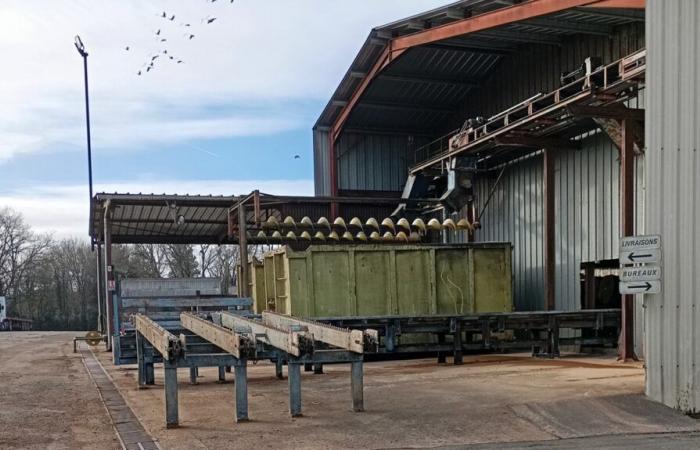 Prevost Frères a Sauzé-Vaussais e Scierie de l'Atlantique a La Rochelle rilevate da Greenwood Atlantic