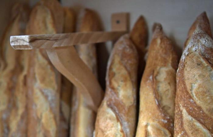 Consumo. Dove trovare il pane questo mercoledì 25 dicembre a Bresse?