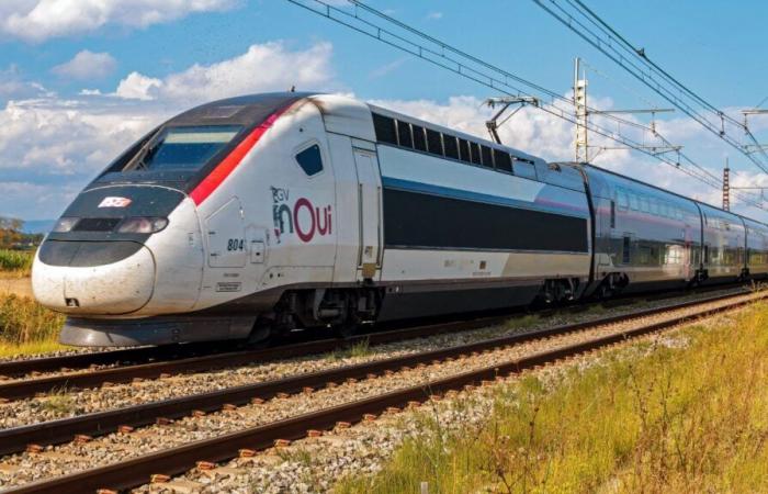 Cosa sappiamo del suicidio di un autista della SNCF