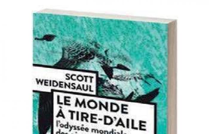 le affascinanti migrazioni del “Mondo con le Ali”