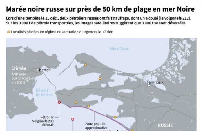 Fuoriuscita di petrolio in Russia: gli scienziati criticano la risposta delle autorità